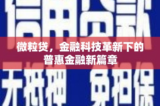泗阳微粒贷，金融科技革新下的普惠金融新篇章