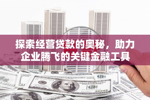 泗阳探索经营贷款的奥秘，助力企业腾飞的关键金融工具