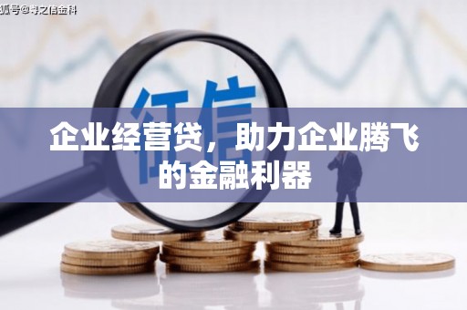 泗阳企业经营贷，助力企业腾飞的金融利器