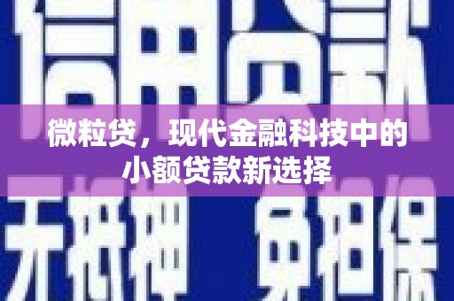 泗阳微粒贷，现代金融科技中的小额贷款新选择