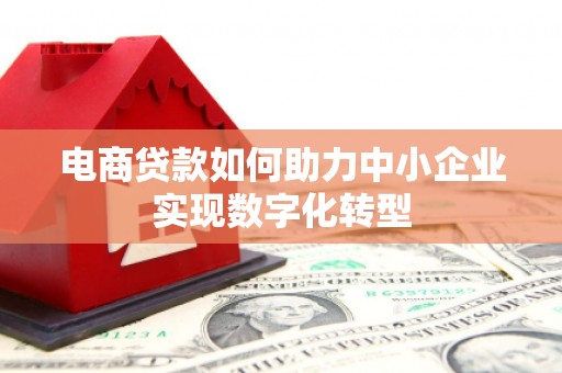 泗阳电商贷款如何助力中小企业实现数字化转型
