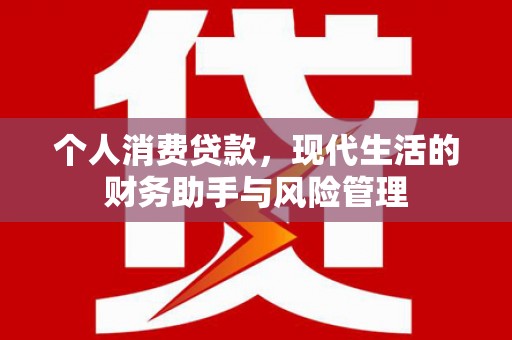 泗阳个人消费贷款，现代生活的财务助手与风险管理