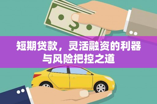 泗阳短期贷款，灵活融资的利器与风险把控之道