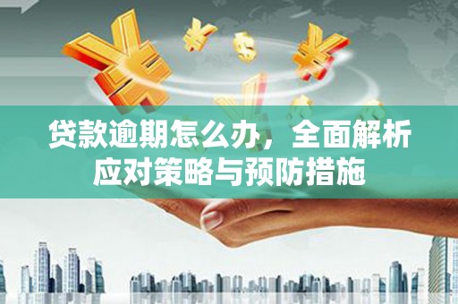泗阳贷款逾期怎么办，全面解析应对策略与预防措施