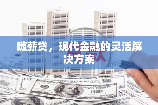 泗阳随薪贷，现代金融的灵活解决方案