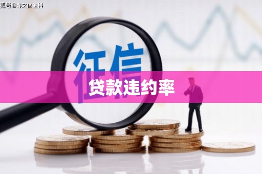 泗阳贷款违约率