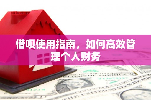 泗阳借呗使用指南，如何高效管理个人财务