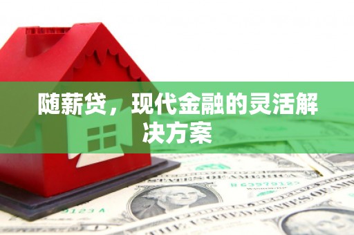 泗阳随薪贷，现代金融的灵活解决方案