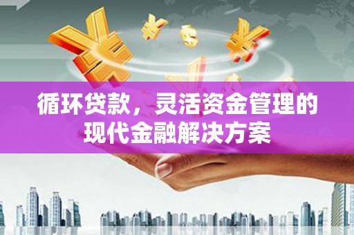 泗阳循环贷款，灵活资金管理的现代金融解决方案