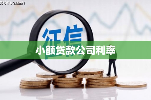 泗阳小额贷款公司利率