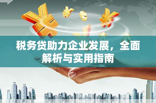 泗阳税务贷助力企业发展，全面解析与实用指南
