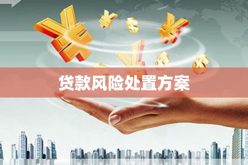 泗阳贷款风险处置方案