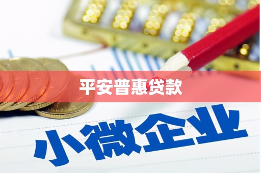 泗阳平安普惠贷款