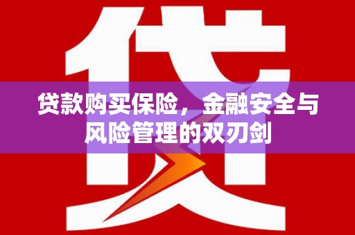 泗阳贷款购买保险，金融安全与风险管理的双刃剑