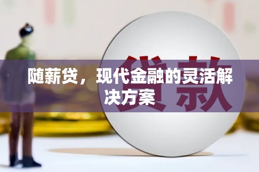 泗阳随薪贷，现代金融的灵活解决方案