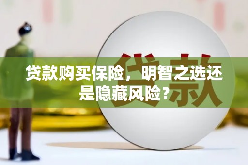 泗阳贷款购买保险，明智之选还是隐藏风险？