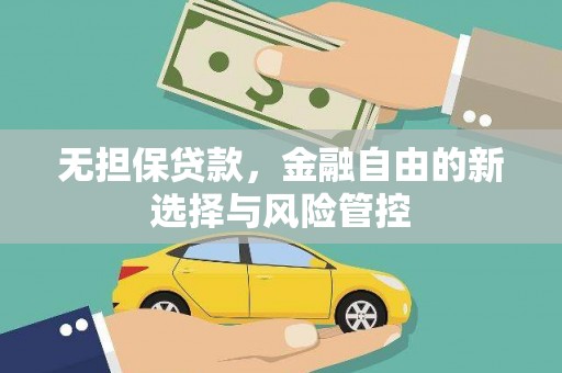 泗阳无担保贷款，金融自由的新选择与风险管控