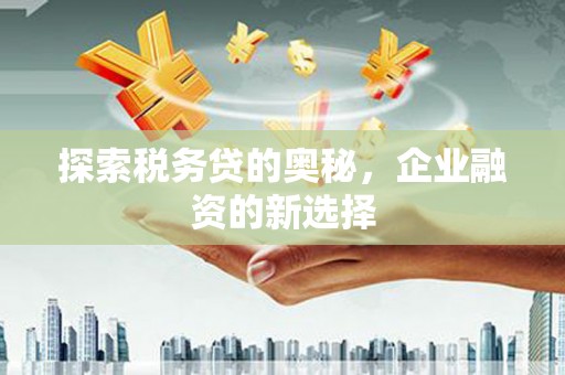 泗阳探索税务贷的奥秘，企业融资的新选择