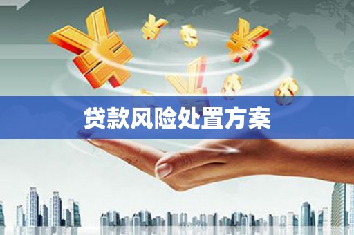 泗阳贷款风险处置方案