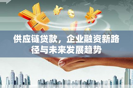泗阳供应链贷款，企业融资新路径与未来发展趋势