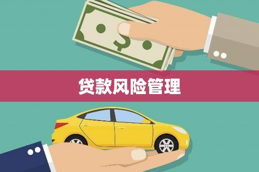 泗阳贷款风险管理