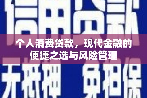 泗阳个人消费贷款，现代金融的便捷之选与风险管理