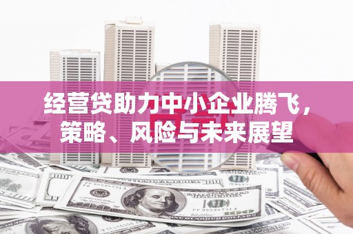 泗阳经营贷助力中小企业腾飞，策略、风险与未来展望