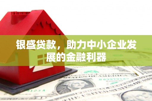 泗阳银盛贷款，助力中小企业发展的金融利器