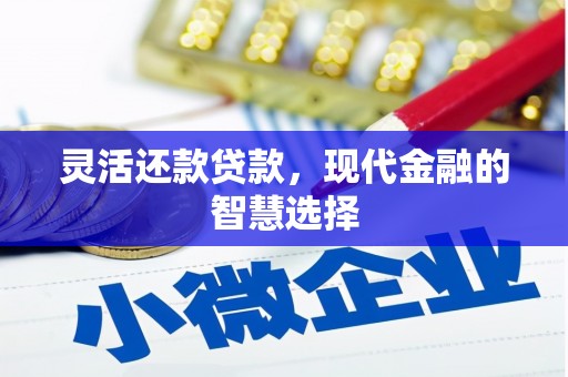 泗阳灵活还款贷款，现代金融的智慧选择