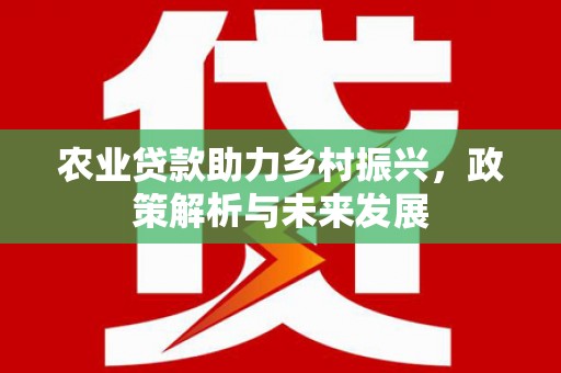 泗阳农业贷款助力乡村振兴，政策解析与未来发展