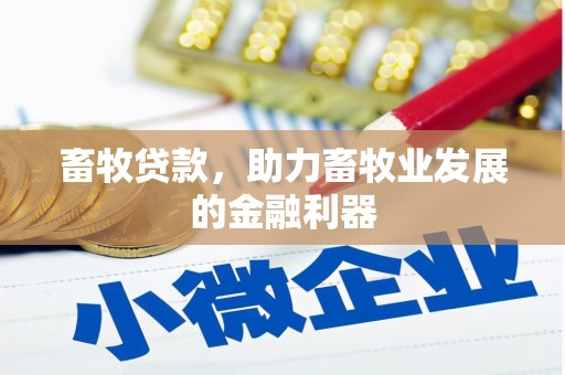 泗阳畜牧贷款，助力畜牧业发展的金融利器