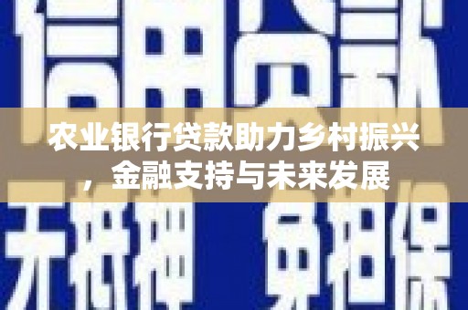 泗阳农业银行贷款助力乡村振兴，金融支持与未来发展
