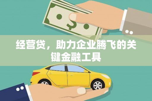 泗阳经营贷，助力企业腾飞的关键金融工具