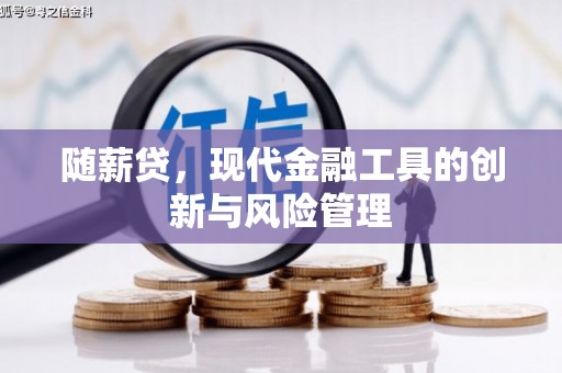 泗阳随薪贷，现代金融工具的创新与风险管理