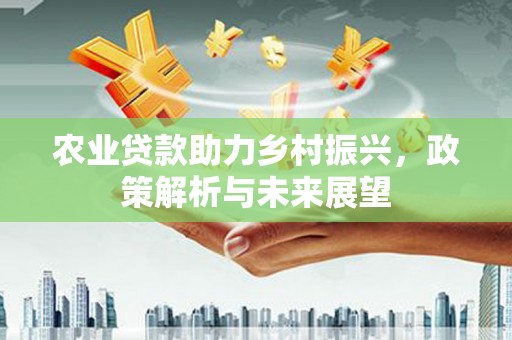 泗阳农业贷款助力乡村振兴，政策解析与未来展望