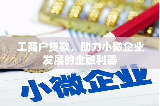 泗阳工商户贷款，助力小微企业发展的金融利器