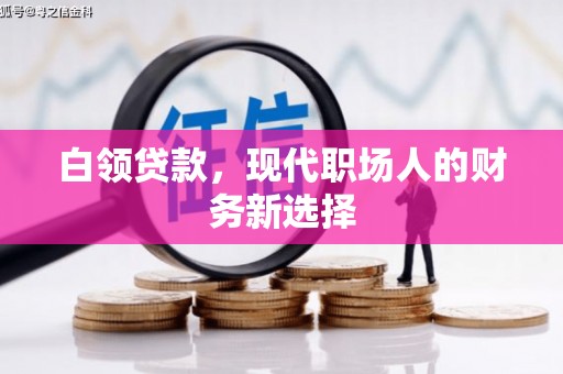 泗阳白领贷款，现代职场人的财务新选择