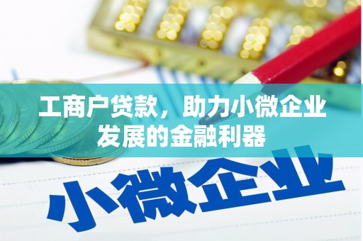 泗阳工商户贷款，助力小微企业发展的金融利器