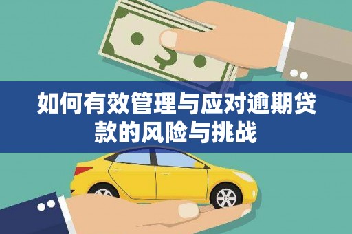 泗阳如何有效管理与应对逾期贷款的风险与挑战