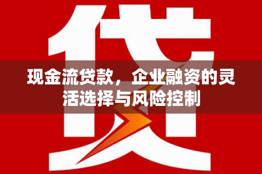 泗阳现金流贷款，企业融资的灵活选择与风险控制