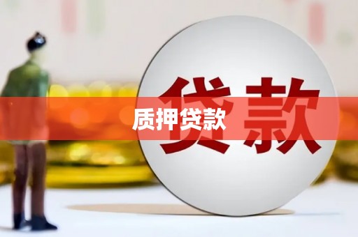 泗阳质押贷款