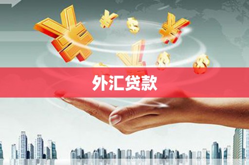 泗阳外汇贷款