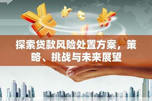 泗阳探索贷款风险处置方案，策略、挑战与未来展望