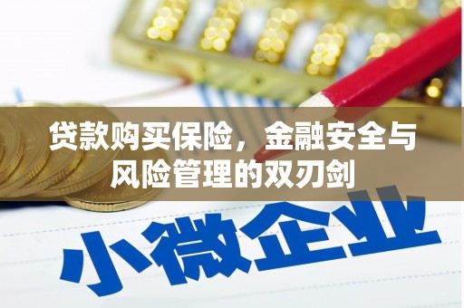 泗阳贷款购买保险，金融安全与风险管理的双刃剑