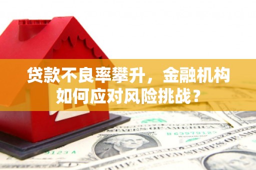 泗阳贷款不良率攀升，金融机构如何应对风险挑战？