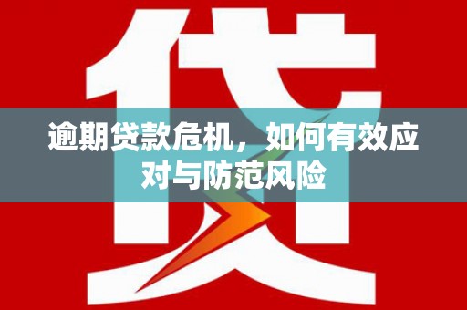 泗阳逾期贷款危机，如何有效应对与防范风险