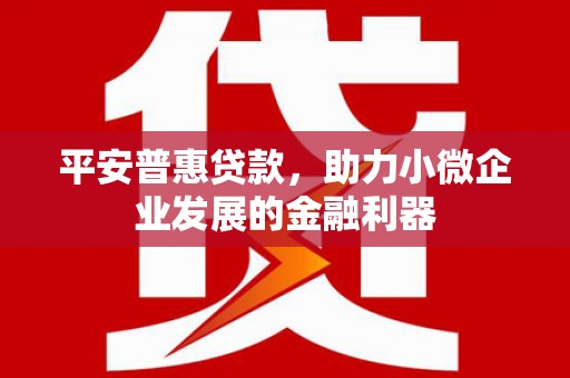 泗阳平安普惠贷款，助力小微企业发展的金融利器