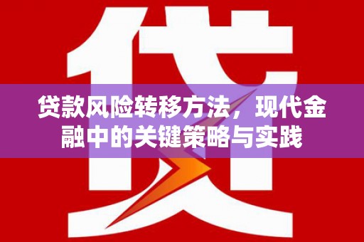 泗阳贷款风险转移方法，现代金融中的关键策略与实践