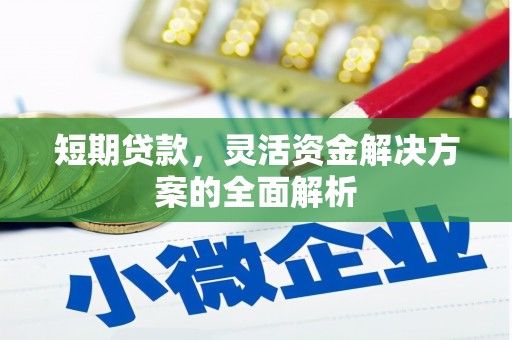 泗阳短期贷款，灵活资金解决方案的全面解析