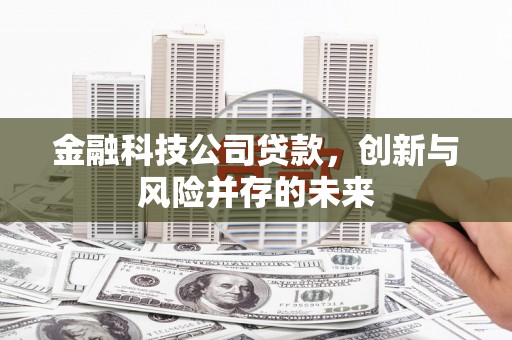 泗阳金融科技公司贷款，创新与风险并存的未来